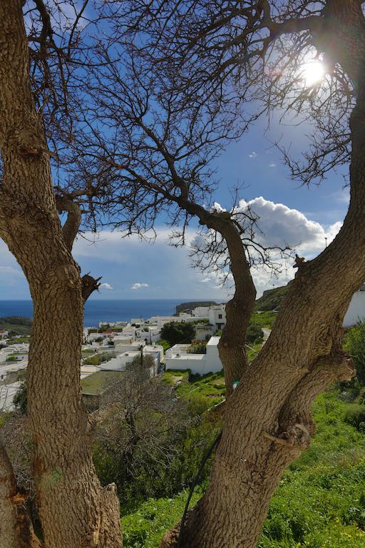 Little Lindos Sea View Studios Zewnętrze zdjęcie